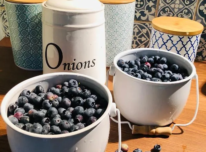 بيت للعطل Bohdanecska Bohdaneč