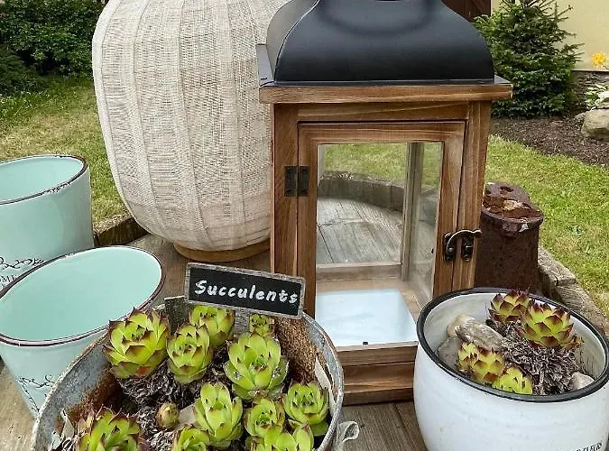 بيت للعطل Bohdanecska *